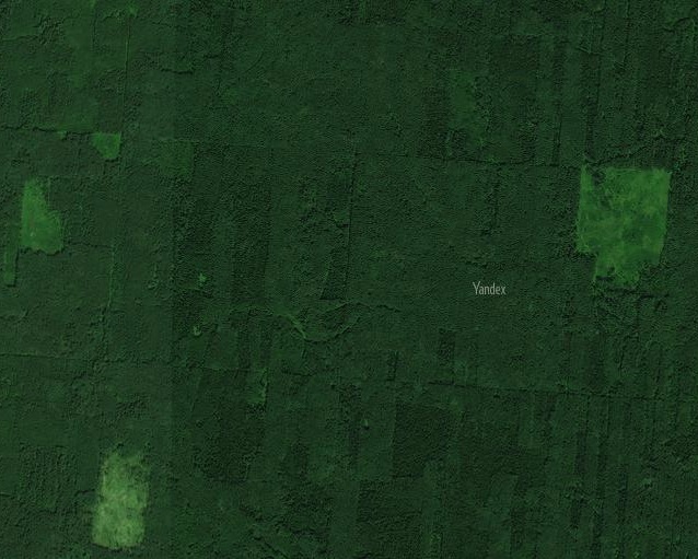 15-летний мальчик нашёл затерянный город майя по звёздной схеме