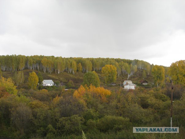 Подборка "тёплых, уютных, домашних" фотографий. Часть 2
