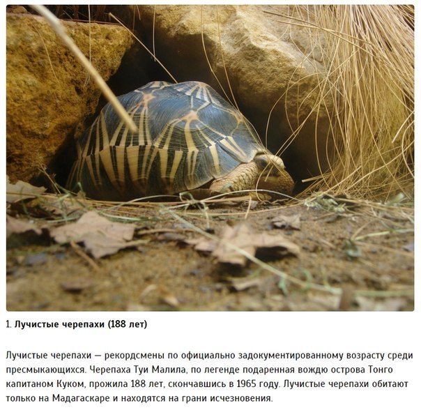 Картинки для отдыха глаз