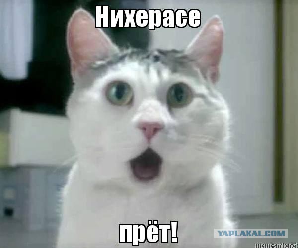 А что там, за смертью....