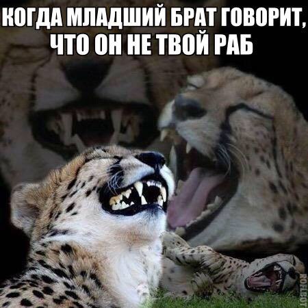 Всякие разные картинки
