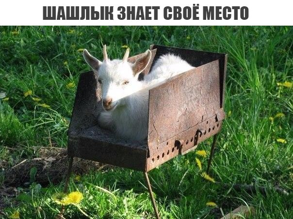 Очередная подборка школьной наркомании из соц.сетей
