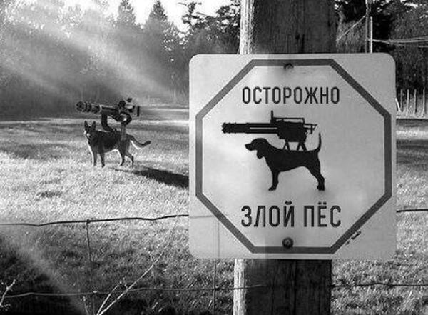 Деградируйте на здоровье