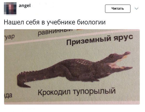 Подборка интересных и веселых картинок