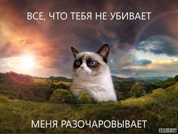 Чёрненькая деградация к выходным. Ура!