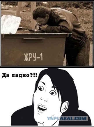 Секс, как он есть