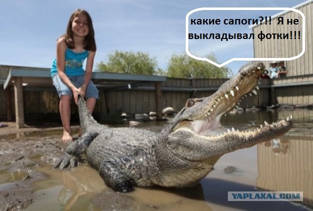 Появился вирус, и я купила МакБук