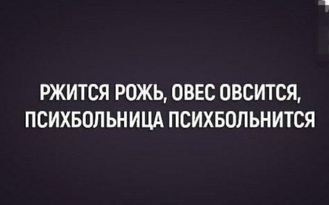 Украинский ответ Пашкету