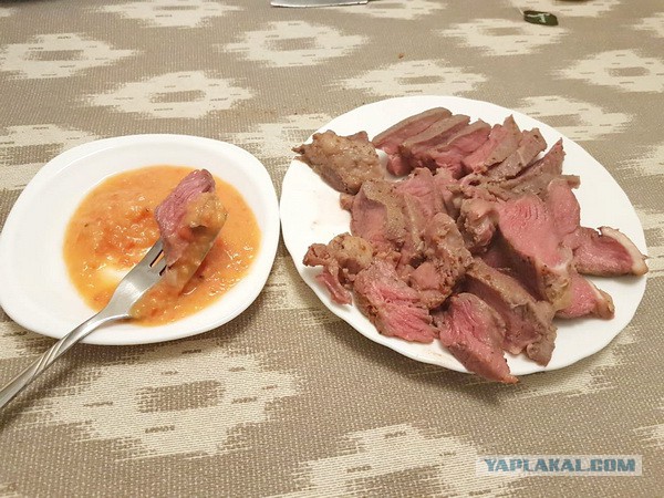 Очередной sous-vide своими руками, версия 100500