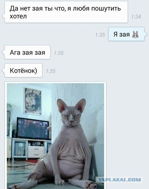 Немного картинок на вечер