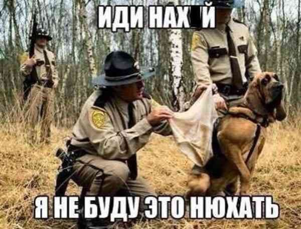 Подборка интересных и веселых картинок 28.07.19