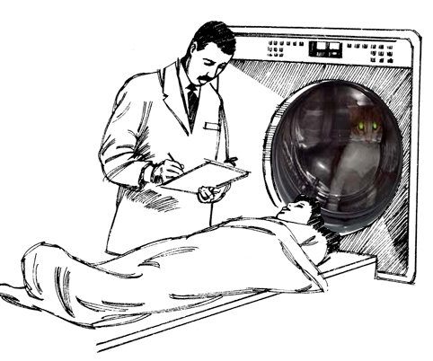Находчивость