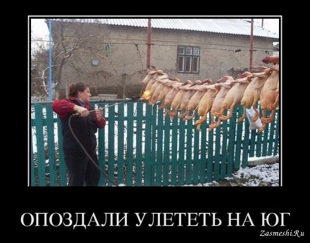 Черный юмор 2