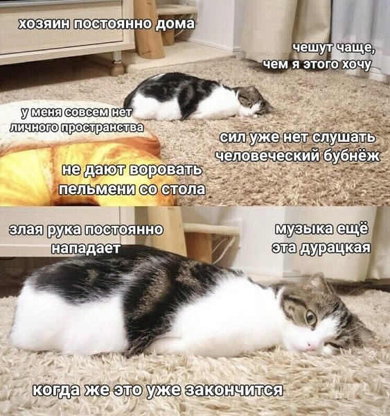 Картинки с надписями и всякие жизненные фразы 25.05.21