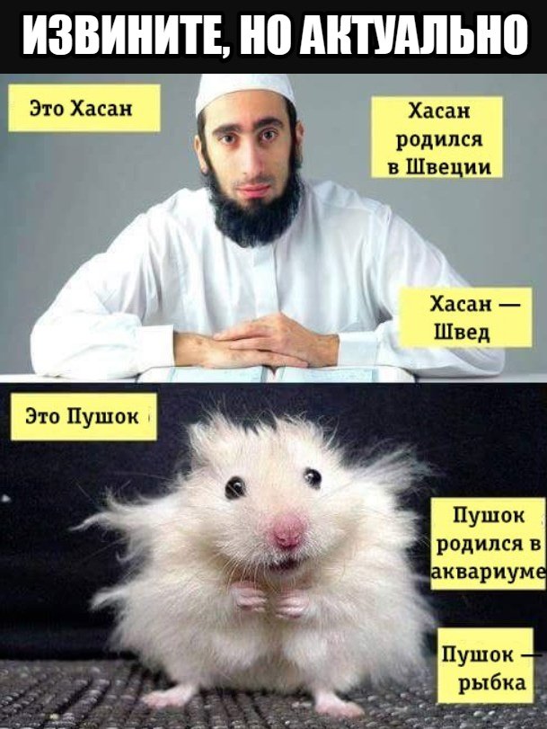 Выборы в Германии