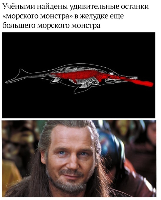 Шонизавр: Крупнейший морской ящер в истории. 80 тонн и запутанное прошлое. Как жила такая махина?