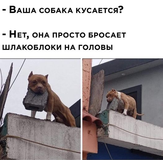 Так себе картинки 04.01.23