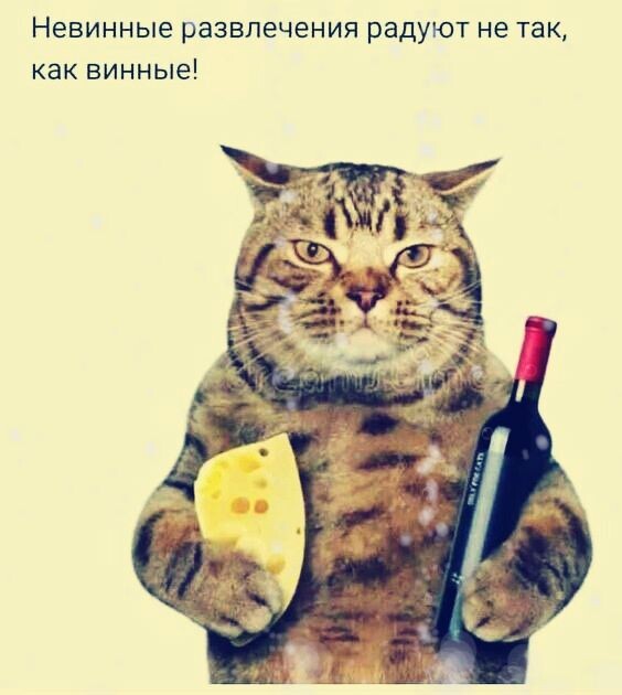 Клуб анонимных алкоголиков