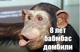 Письмо музыканта Аквариума Борису Гребенщикову