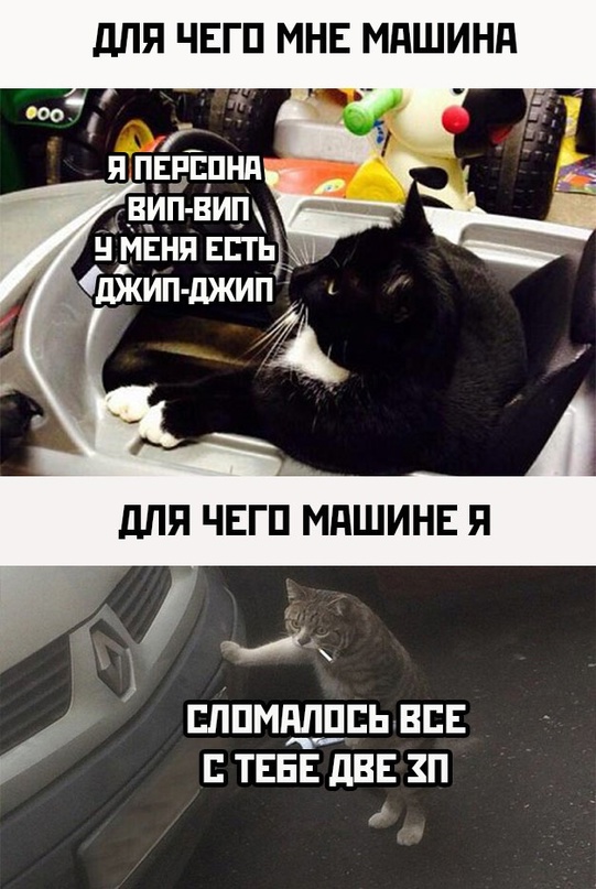 Немного картинок для настроения - 137
