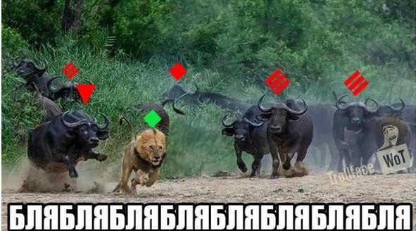 Wargaming 4