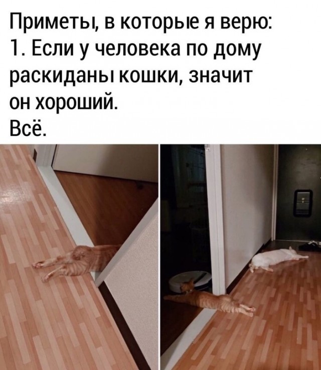 Скупка краденого из сети 24-05-2023
