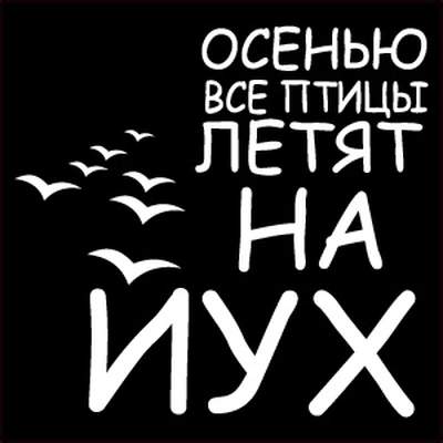 Кукуха отлетает первой
