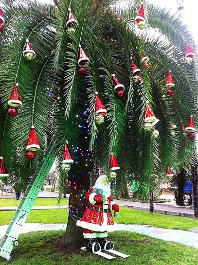 Любимое блюдо на Новый год — 2024. Читаем ленту!