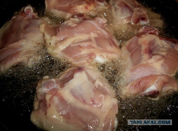 «Ишь грудь выпячила, бёдрами виляет, - Курица!», совместный пост  - Frau Marta и Mitsv