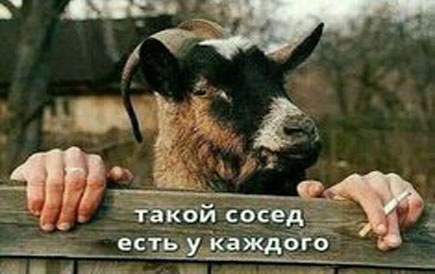 Так себе картинки 18.04.24