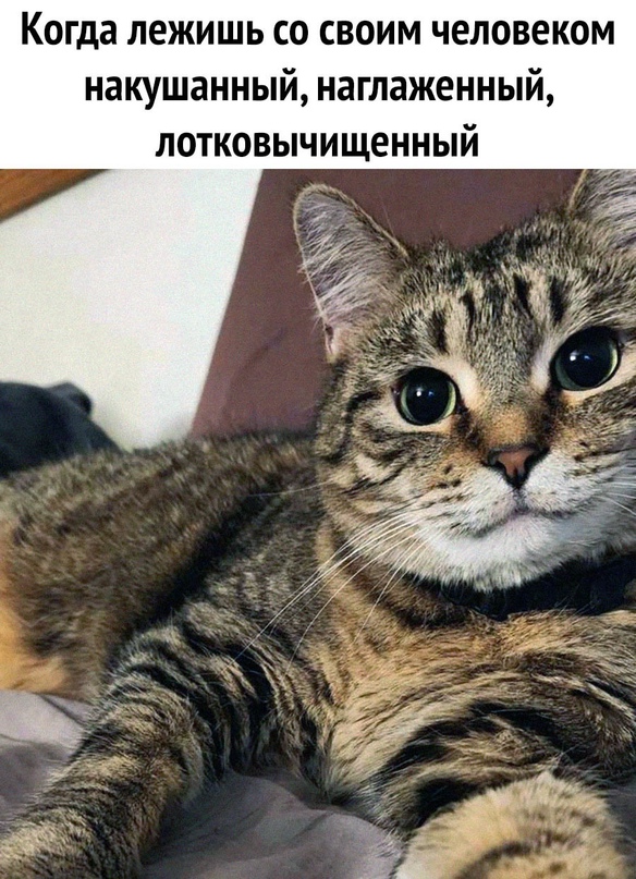 Весёлый полтишок 22.04.24