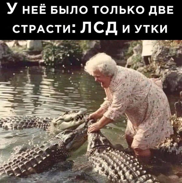 Картиночки, LOL