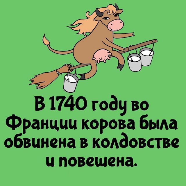 Главу «Империи сильнейших ведьм» задержали за обман и экстремизм