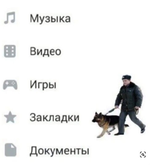 Полиция не создает беспорядков. Она их поддерживает!