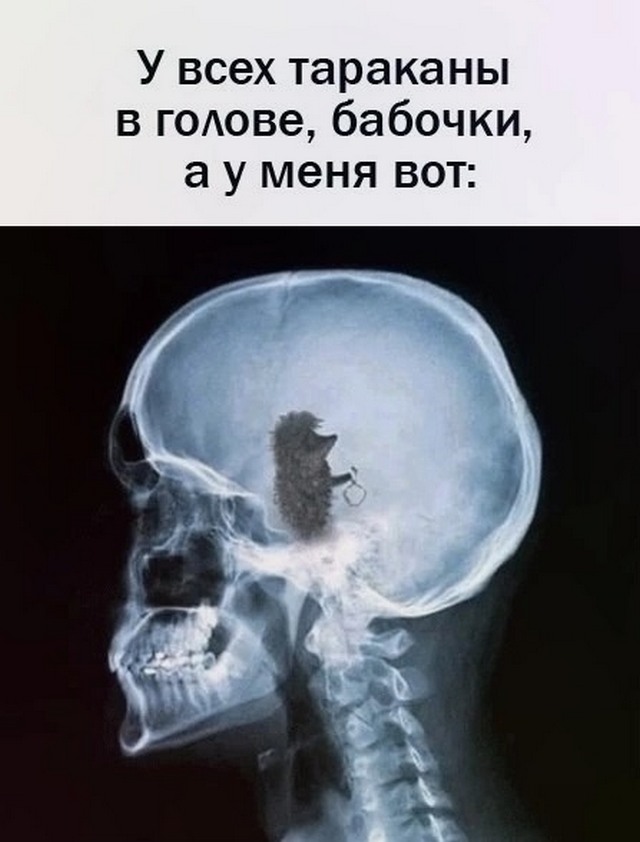 Завалялось тут случайно немного забавных картинок