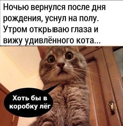 Так себе картинки 09.10.24