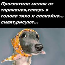 Туристку из России накажут плетью в Малайзии за нарушения ПДД