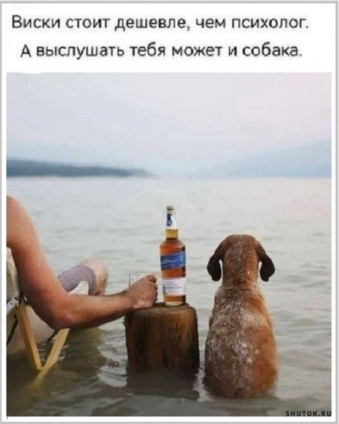 Веселые картинки в понедельник (12.05)