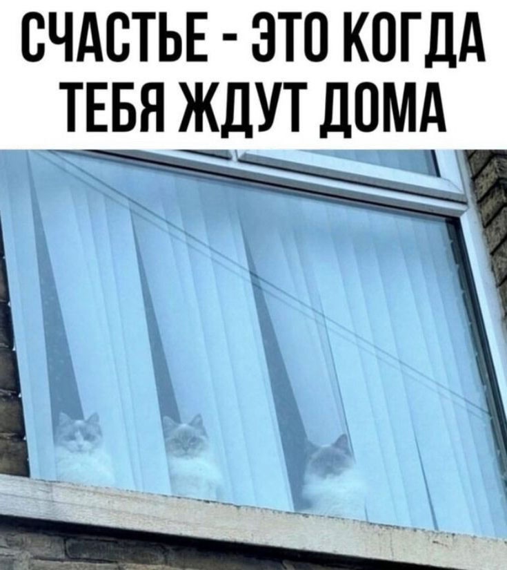 20100330.jpg