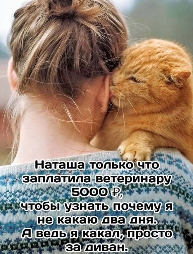 К котовторнику: подборка картинок-баянов с котиками и про котиков. Выпуск 18.