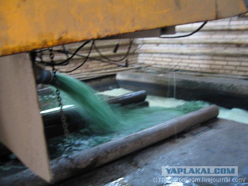 В самолете как в поезде - все на улицу? (13 фото)