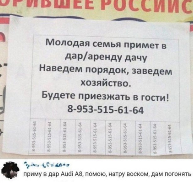 Немного картинок накануне выходных