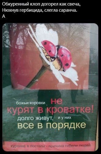 Веселое настроение в картинках (24.10.2025)