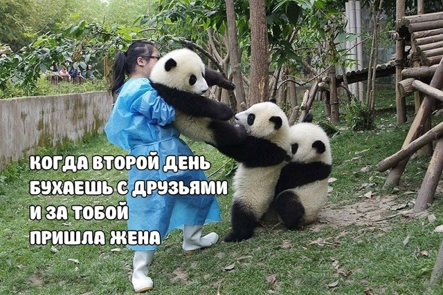 Вторник. Немного картинок