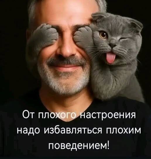 Веселое настроение в картинках 26.07.26