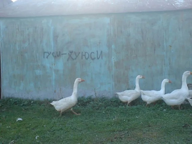 Хорошая собачка...