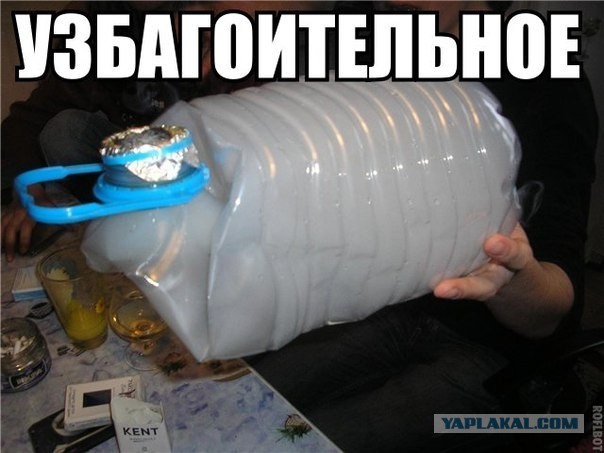 енот картинки узбагойся онлайн енот картинки узбагойся