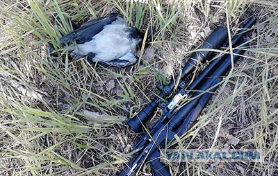 Пневматические винтовки