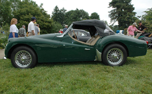 Возроди меня, если сможешь