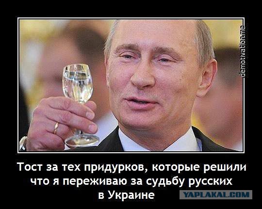 Жители Симферополя празднуют